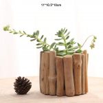 maceta de madera natrual para cactus