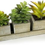 macetas de madera modernas para cactus