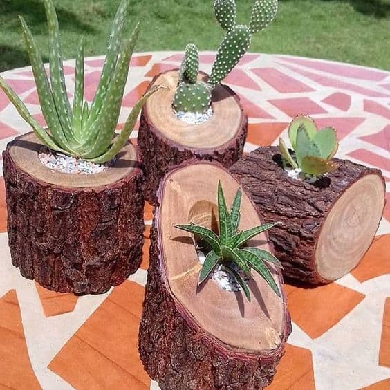 macetas-naturales-para-cactus-y-suculentas